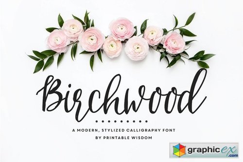 Birchwood Calligraphy Font