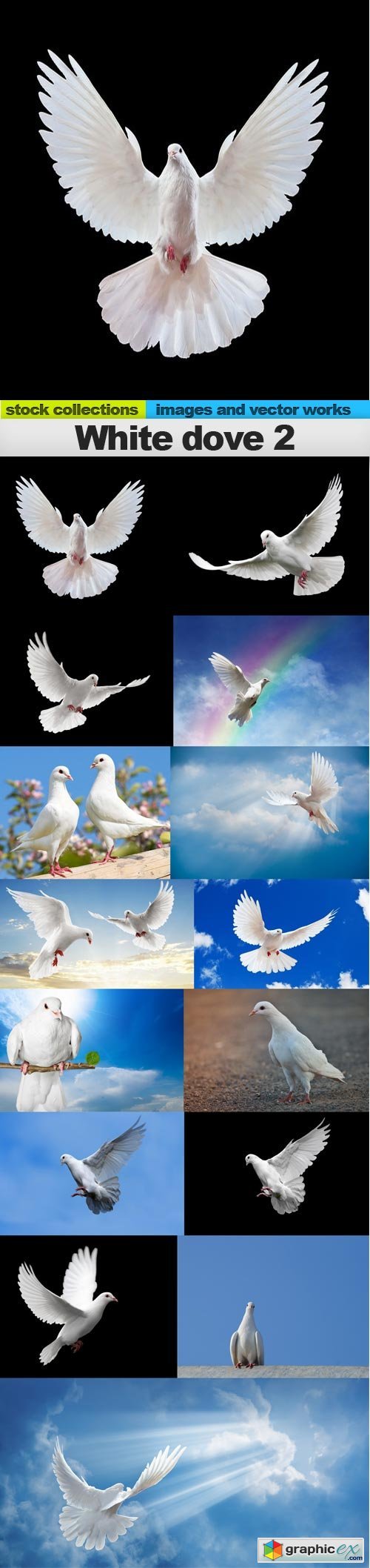 White dove 2, 15 x UHQ JPEG