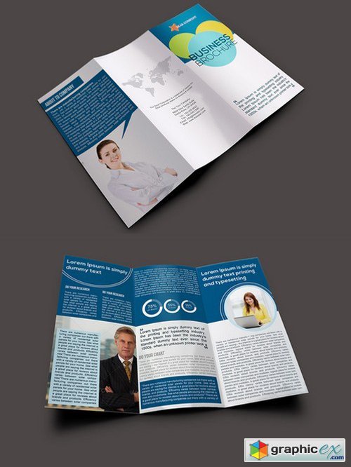 Business Trifold Brochure Template 271698