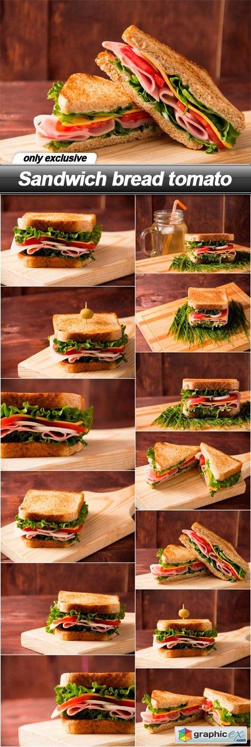 Sandwich bread tomato - 13 UHQ JPEG
