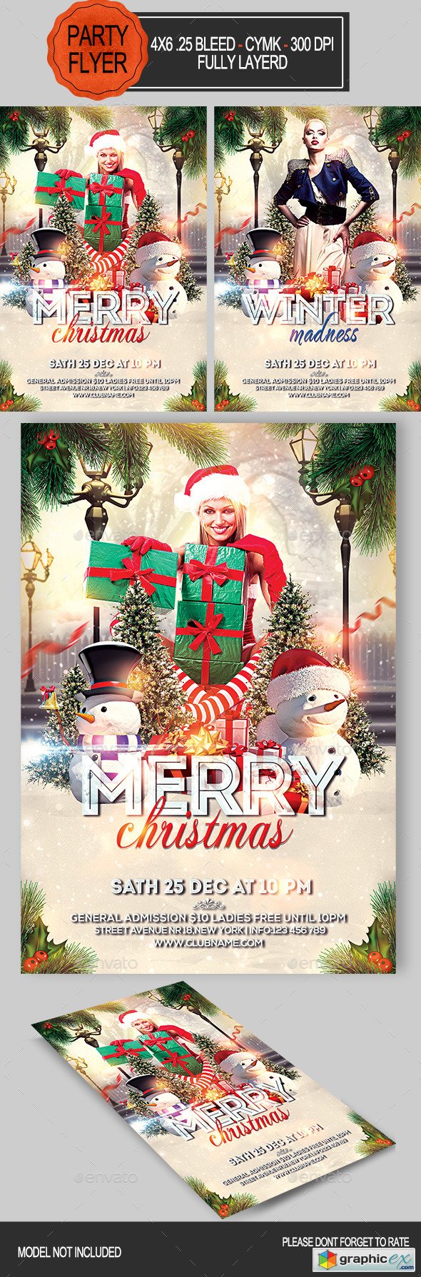 Merry Christmas Flyer 9436219