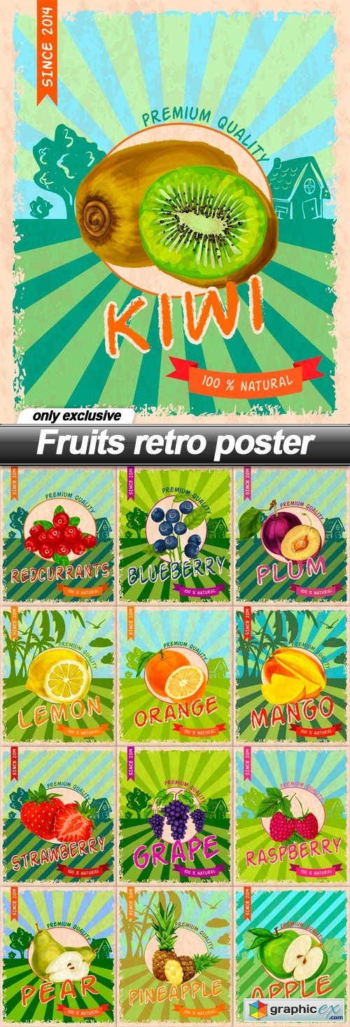 Fruits retro poster - 13 EPS