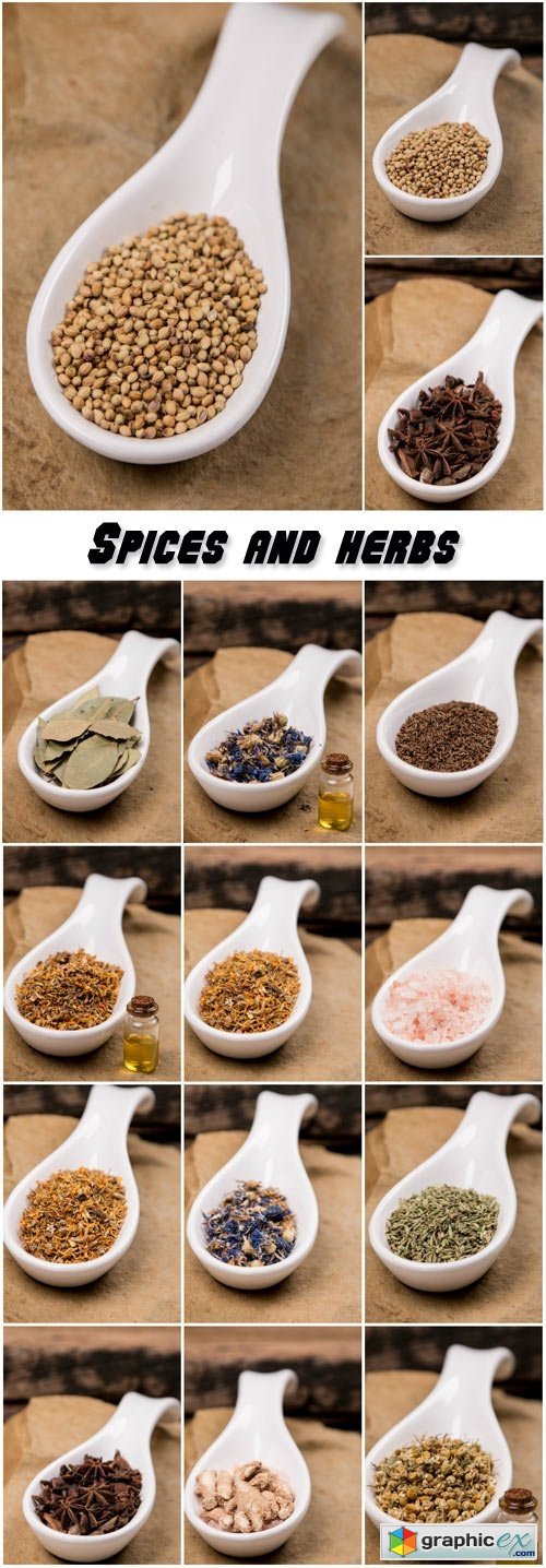 Collection of aromatic spices and herbs