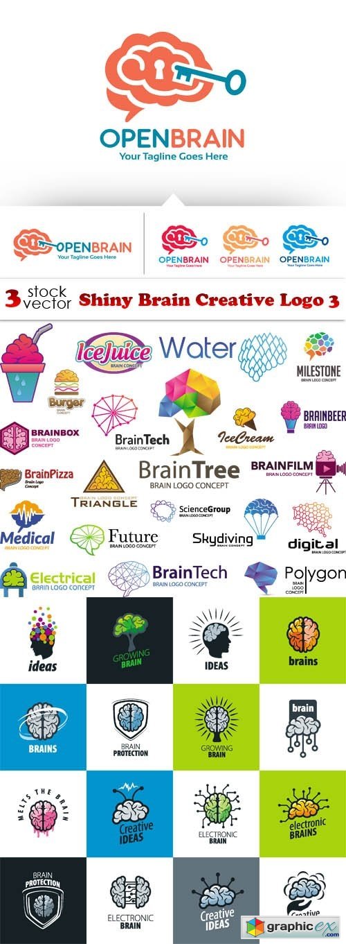 Shiny Brain Creative Logo 3