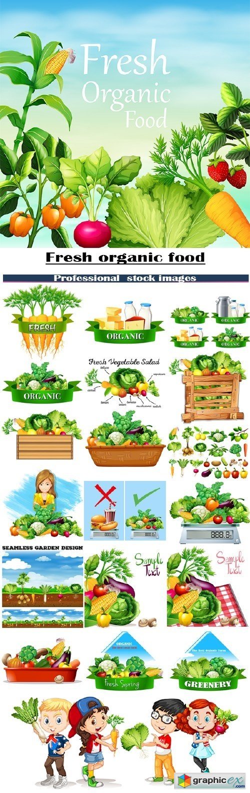 Fresh organic food