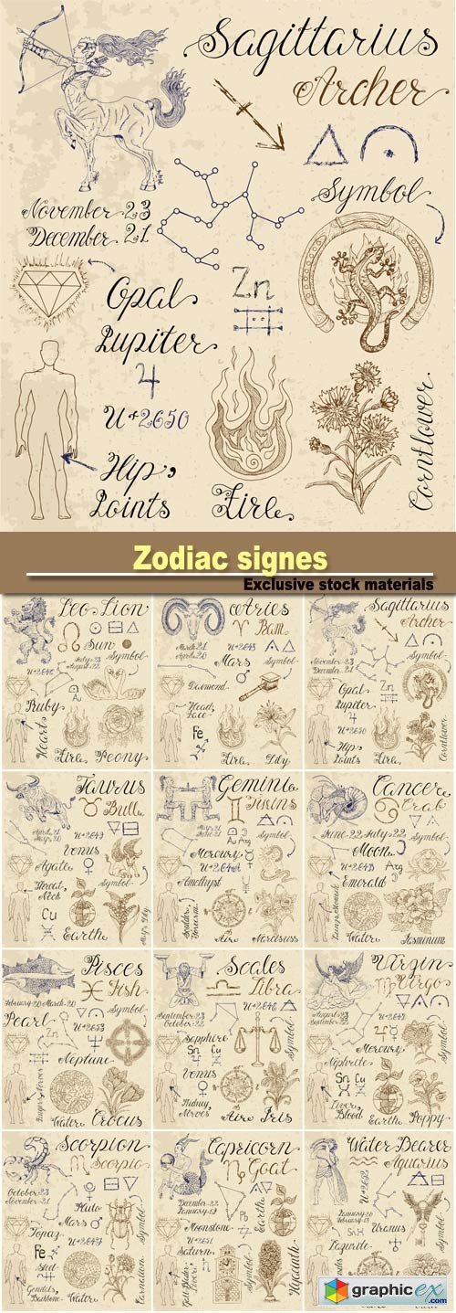 Zodiac signes, a set of characters in the vector