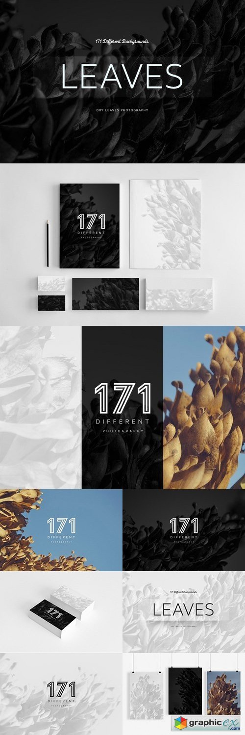 171 Dry Leaves Photography Pack