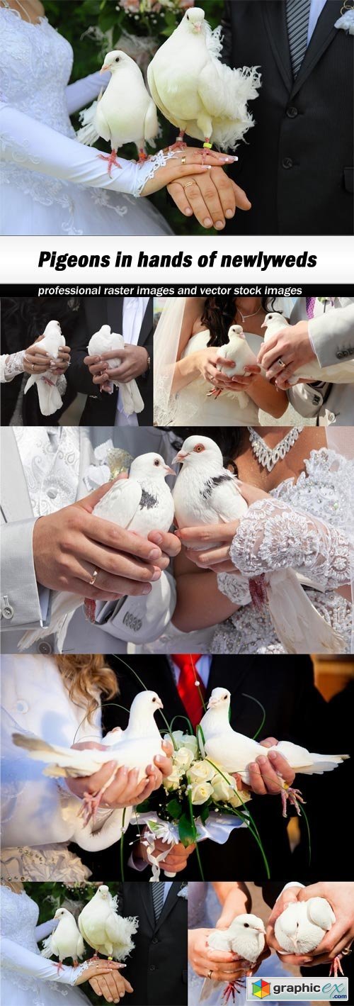 Pigeons in hands of newlyweds-6xJPEGs