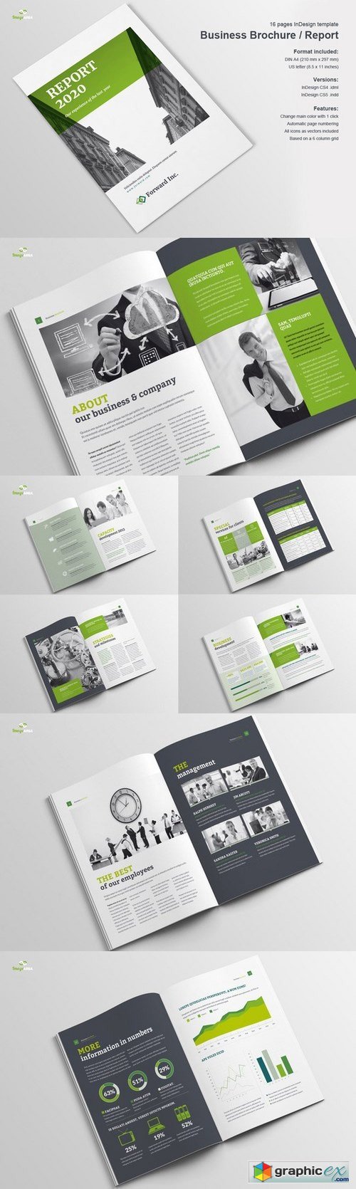 Business Brochure / Report 