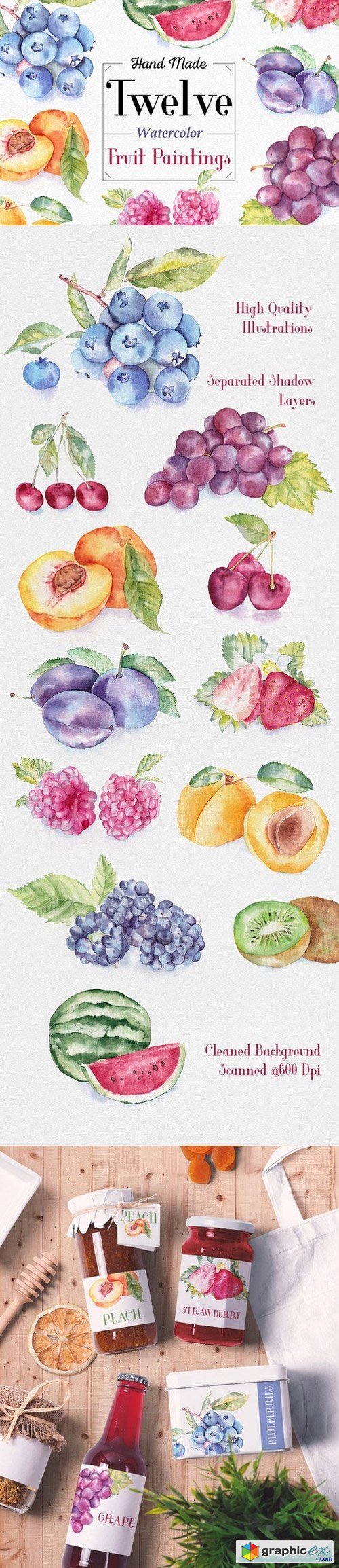 Fruit Watercolor Illustrations