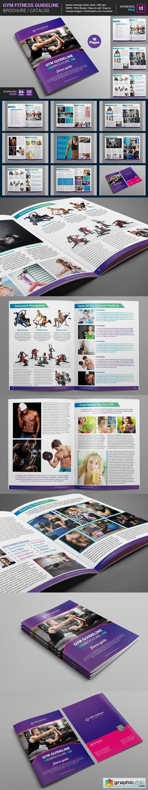 GYM Fitness Guideline Brochure
