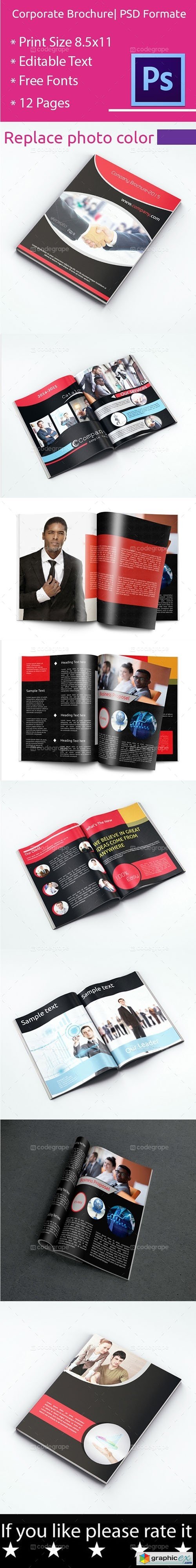 CodeGrape Corporate Brochure 5528