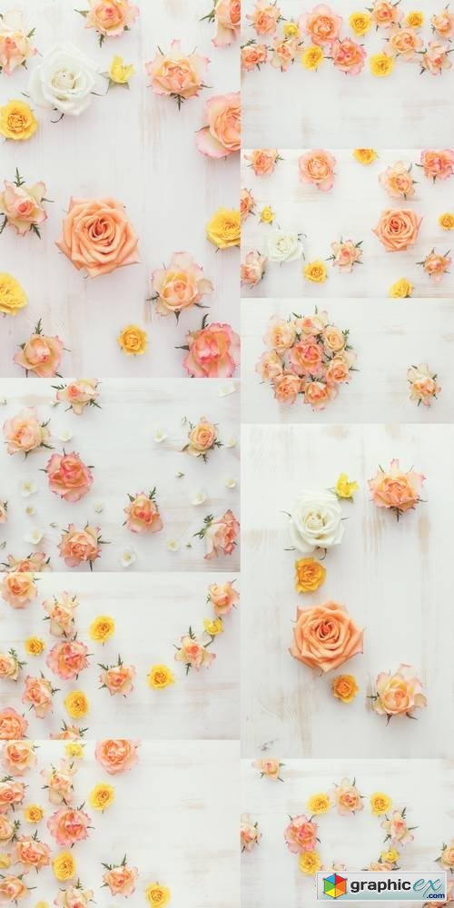 Roses and Jasmine Natural Flower Background