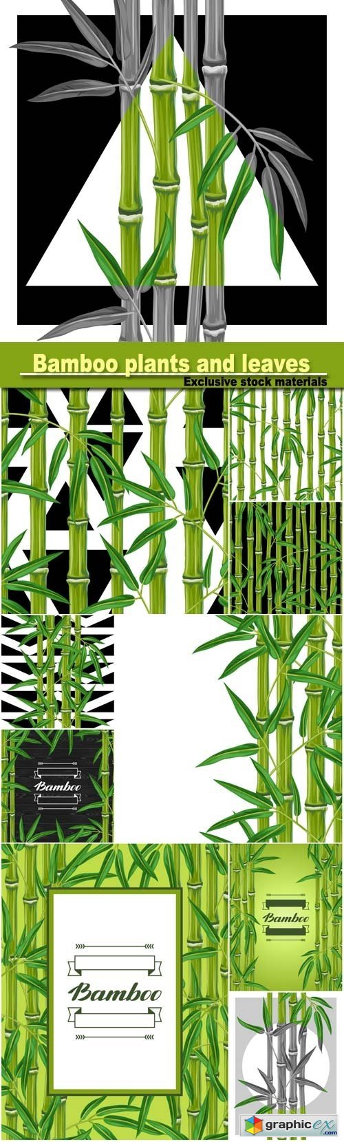 Background with bamboo plants and leaves
