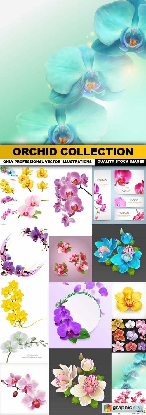 Orchid Collection