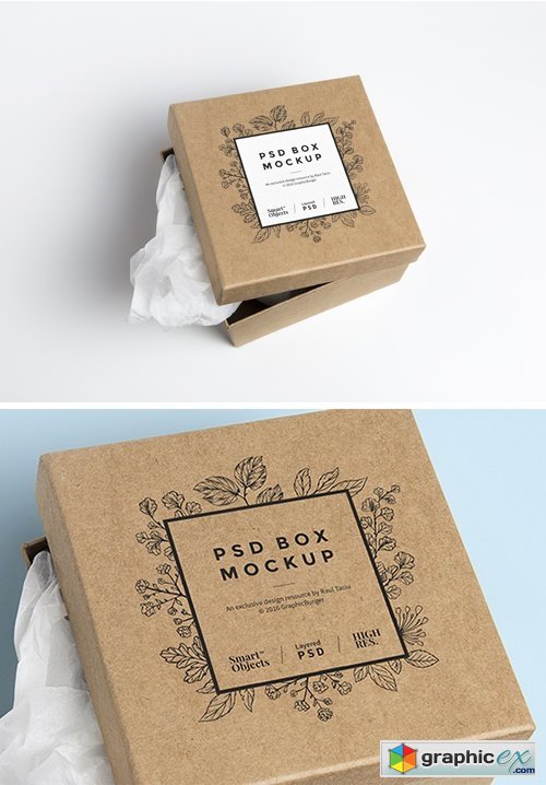 Cardboard Box Mockup Psd