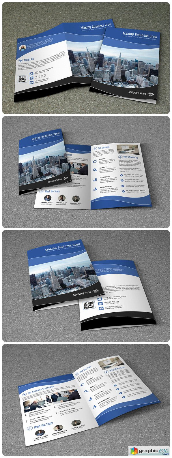 Corporate Brochure - V495