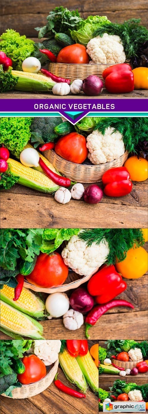 Composition with assorted raw organic vegetables 5x JPEG