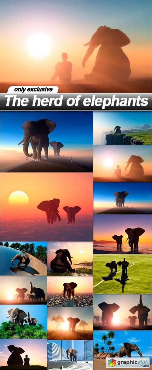 The herd of elephants - 17 UHQ JPEG