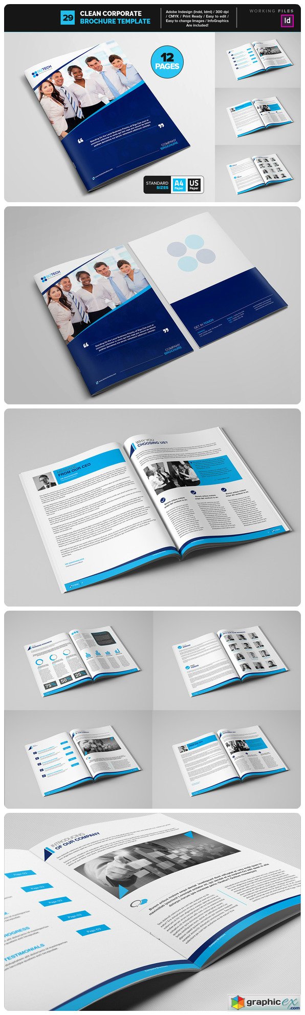 Clean Corporate Brochure Template 29