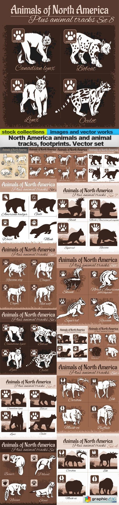 North America animals and animal tracks, footprints 15 x EPS