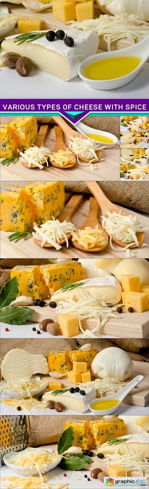 Various types of cheese with spice 10x JPEG