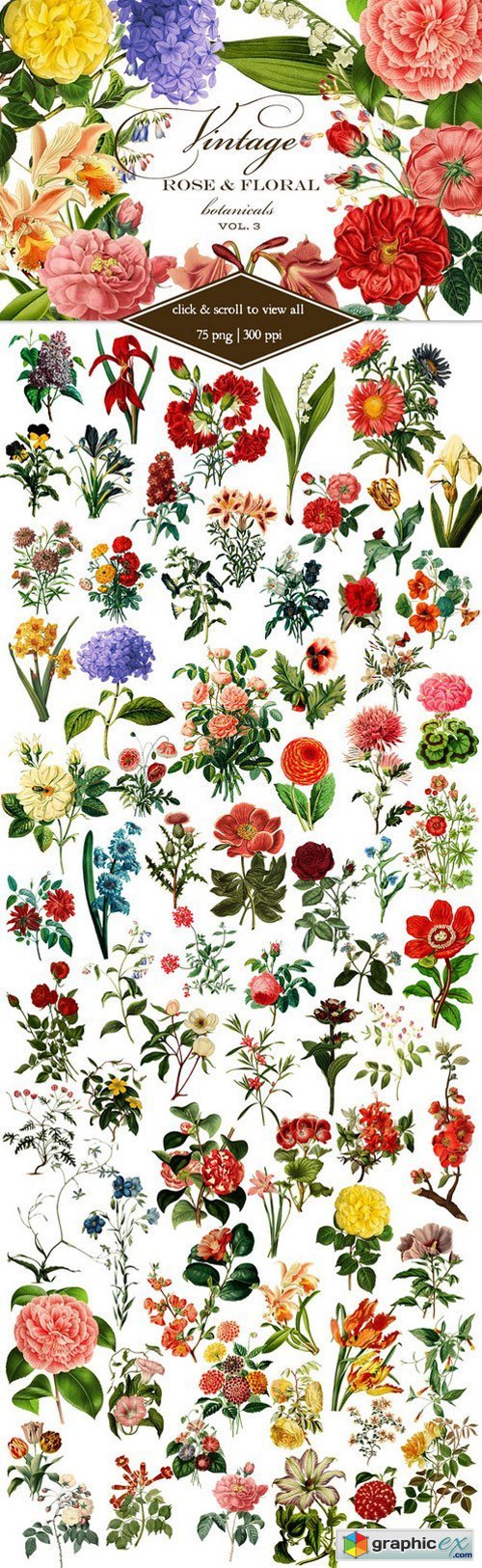 Vintage Rose & Floral Botanicals 3