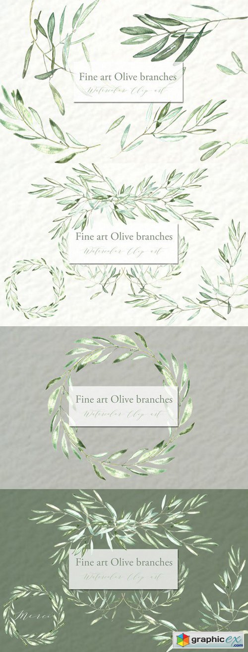 Olive branches. Watercolor clipart.