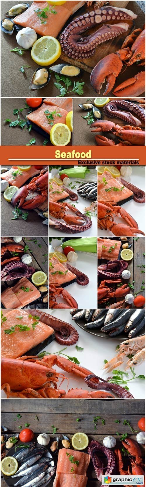 Seafood, lobster and octopus, fish