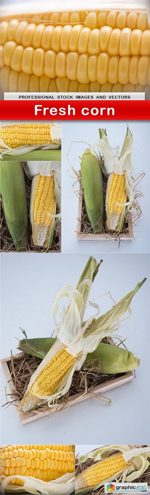 Fresh corn - 7 UHQ JPEG