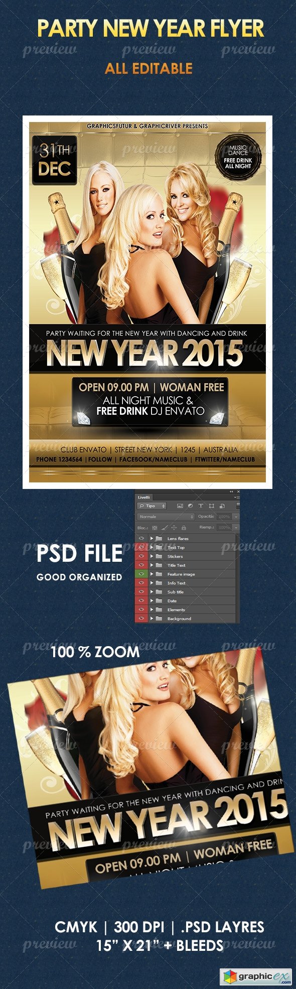 Party New Year Flyer 4391