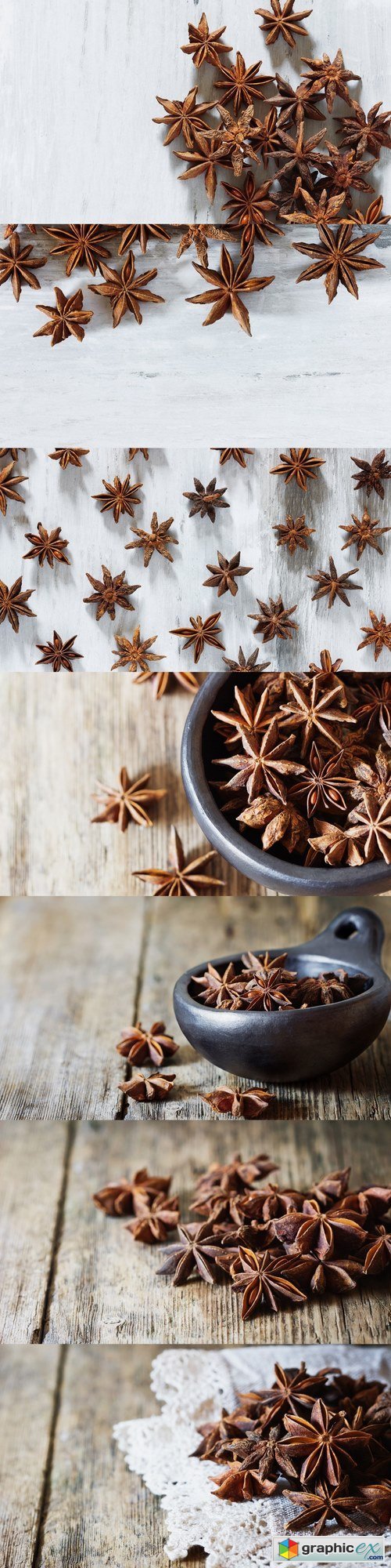 Star anise spice and fruit seeds