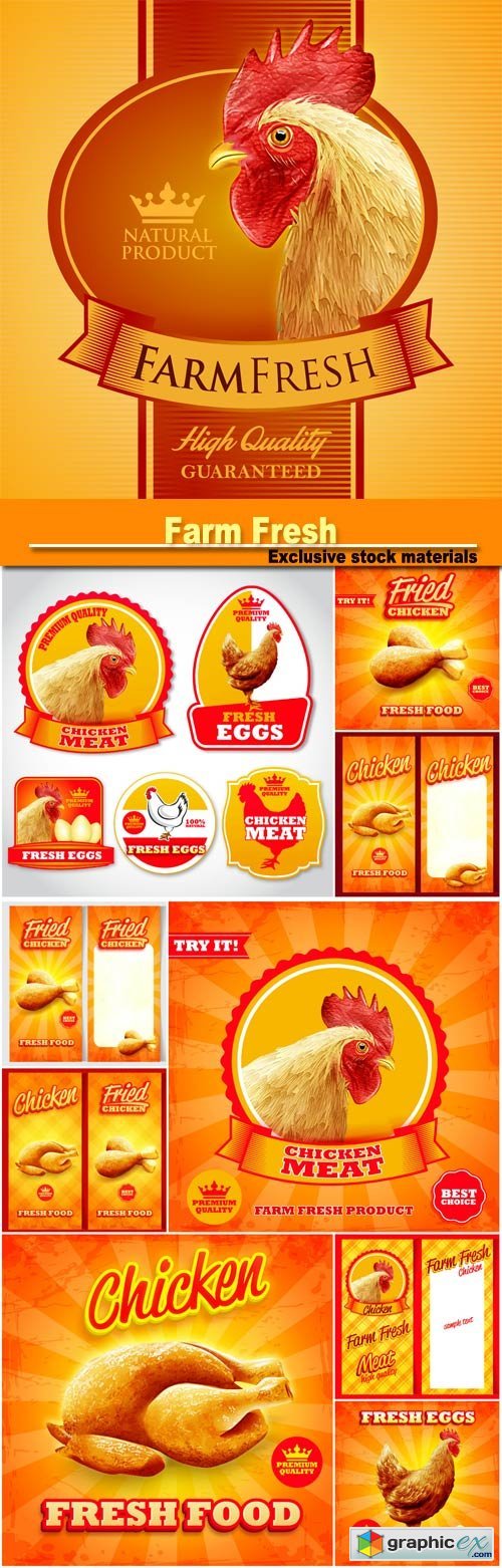 Vector banners and backgrounds with chicken