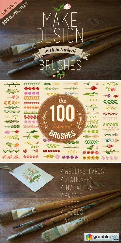 100 Colorful Botanical Brushes