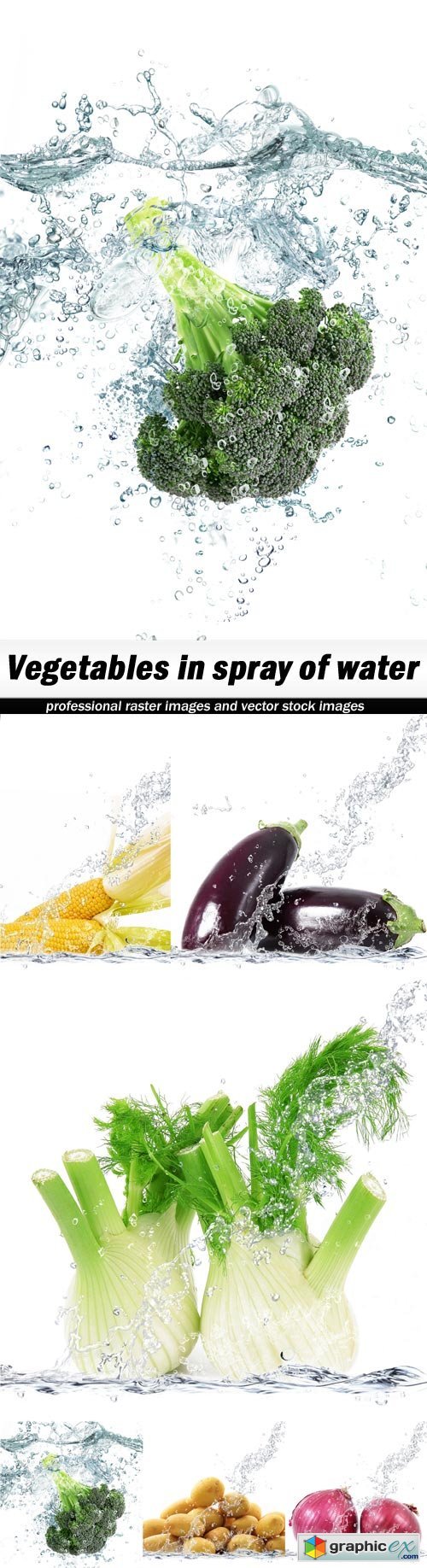 Vegetables in spray of water-6xUHQ JPEG
