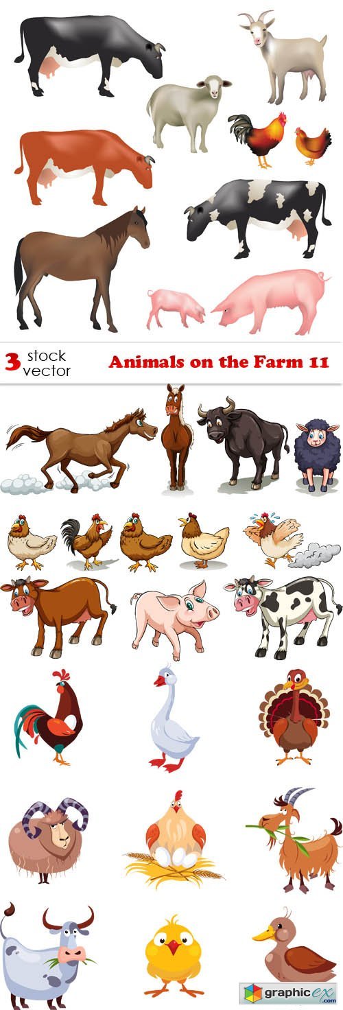 Animals on the Farm 11