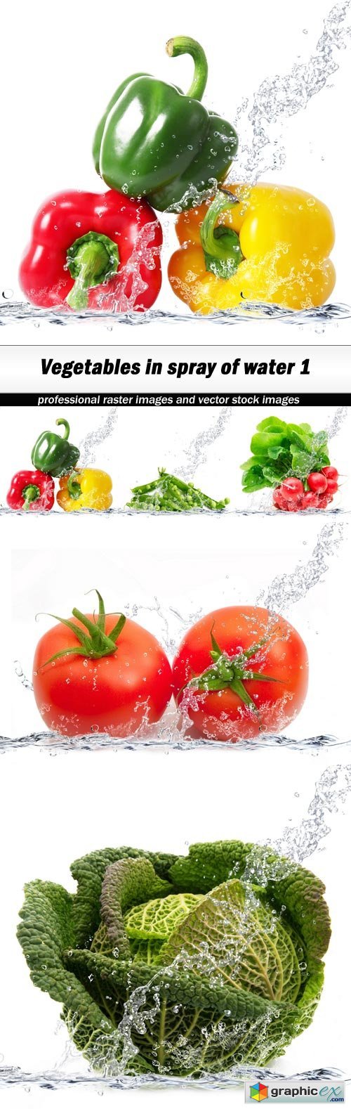 Vegetables in spray of water 1-5xUHQ JPEG