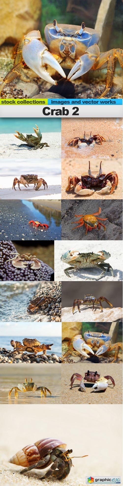 Crab 2, 15 x UHQ JPEG