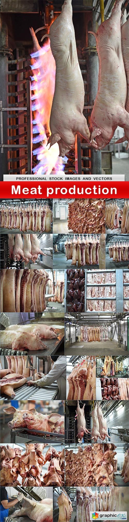 Meat production - 22 UHQ JPEG