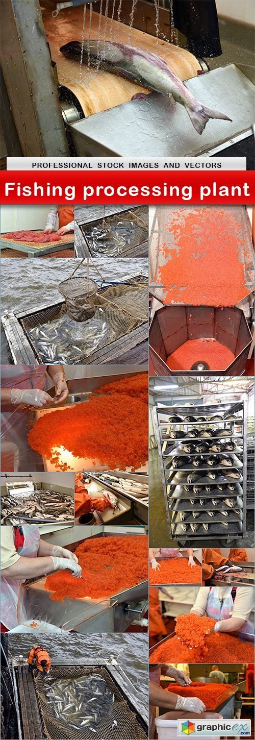 Fishing processing plant - 15 UHQ JPEG