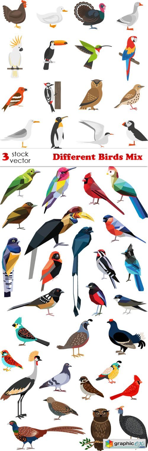 Different Birds Mix