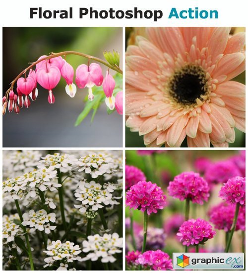 Floral Photoshop Action