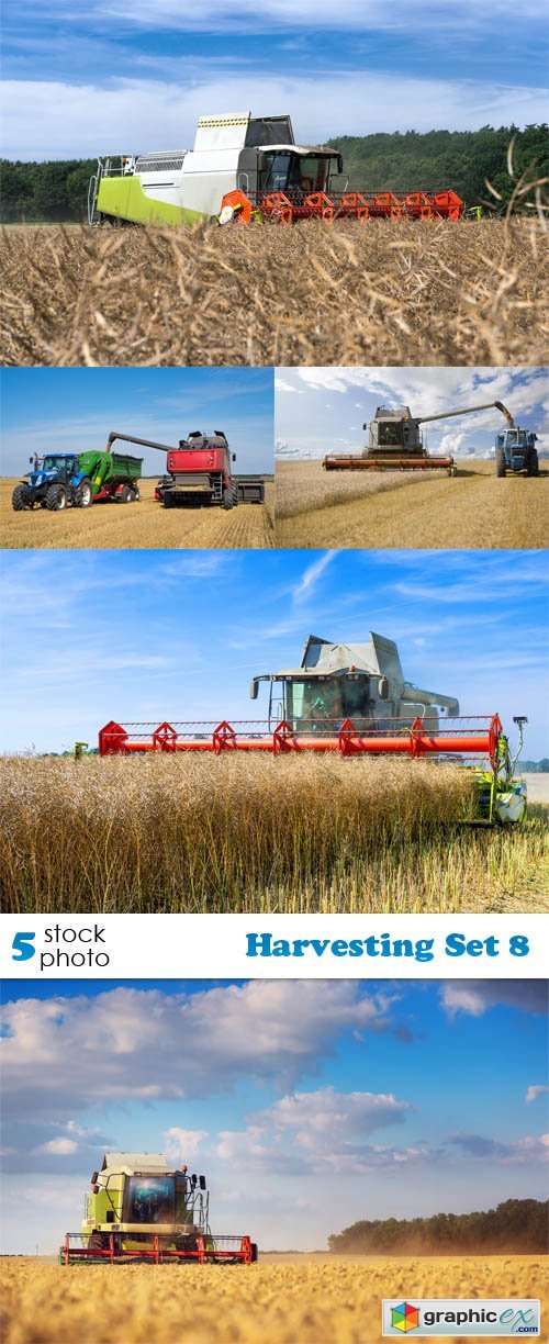 Photos - Harvesting Set 8