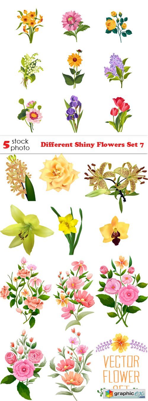 Different Shiny Flowers Set 7