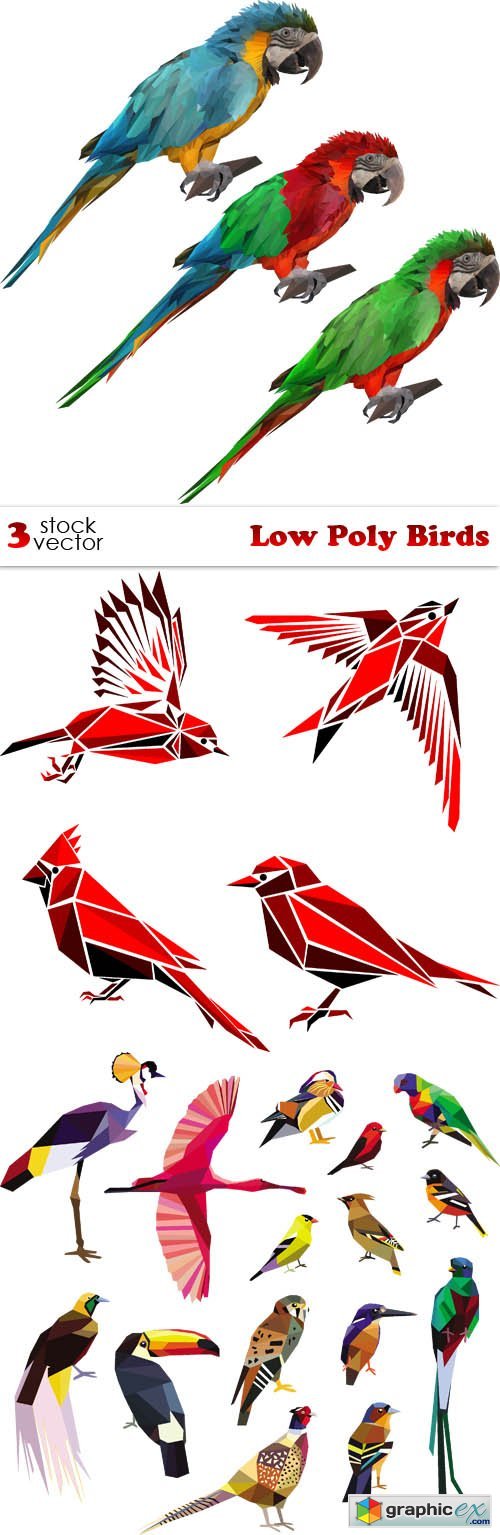 Low Poly Birds