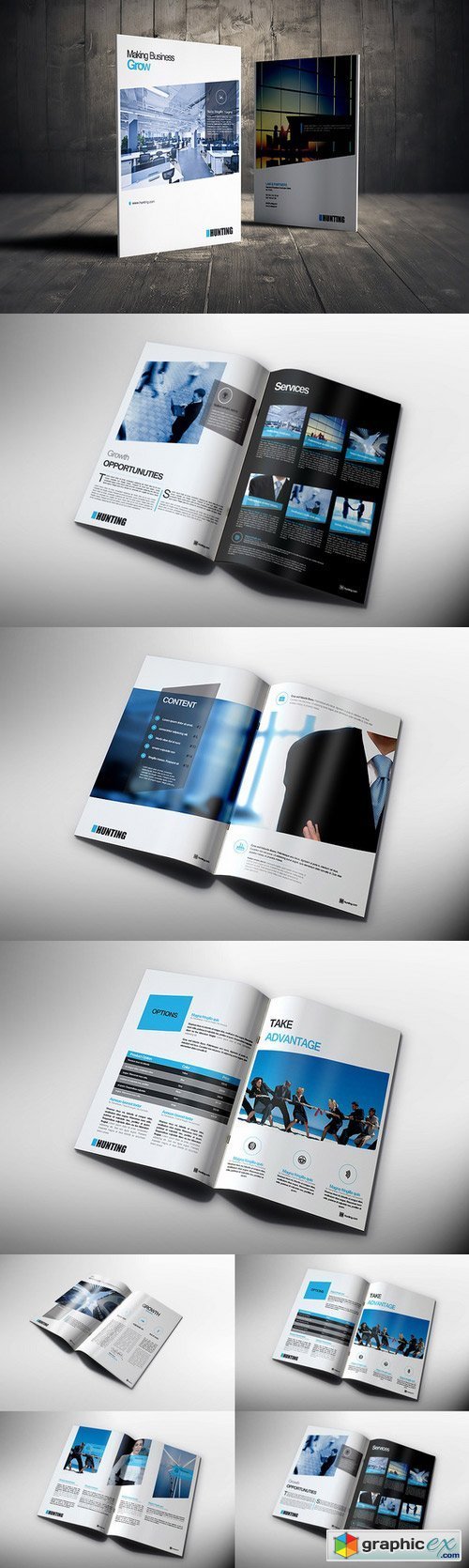 Blue Business Brochure 