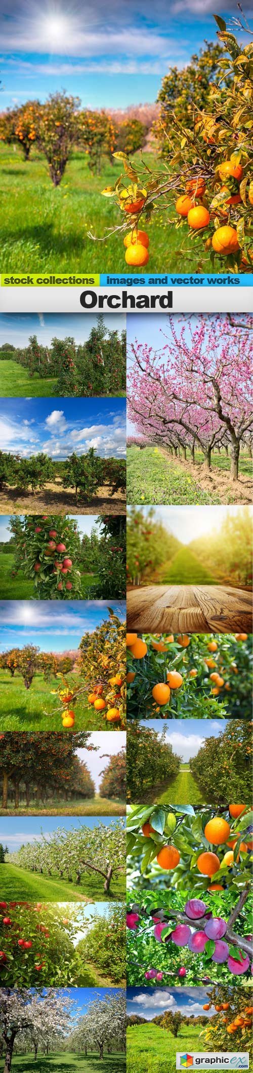 Orchard, 15 x UHQ JPEG