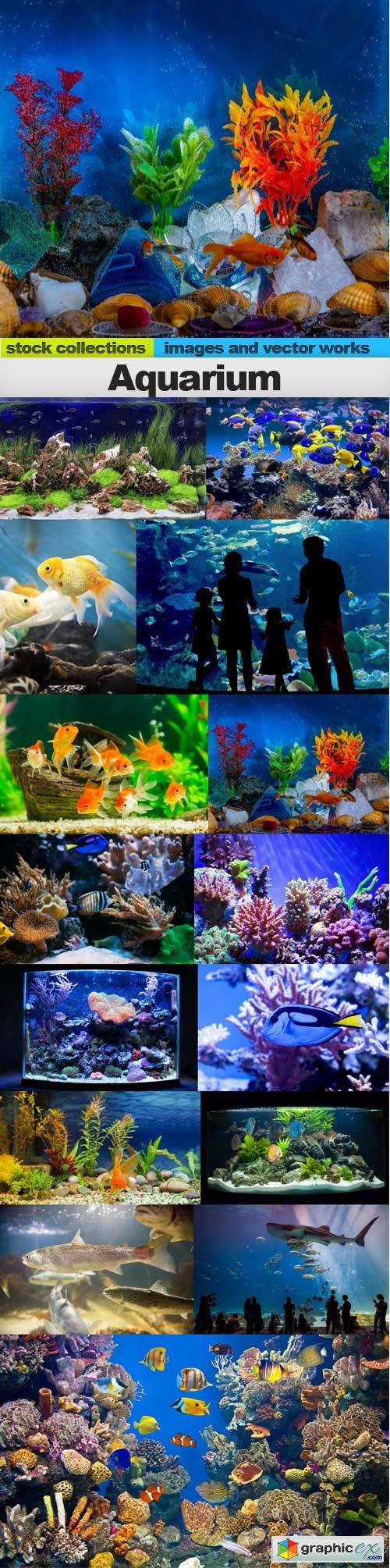 Aquarium, 15 x UHQ JPEG