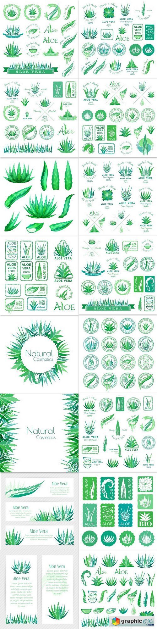 Aloe vera design elements. Logos, badges, icons