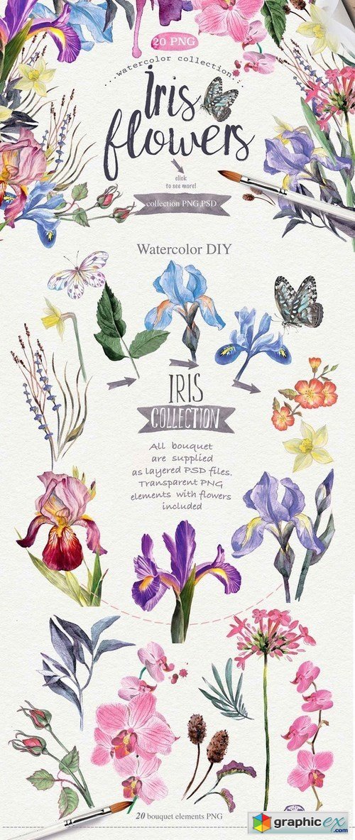 Watercolor DIY "IRIS" vol.1